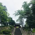 貫前神社の写真_601398