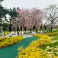 軽井沢フラットブレッズの写真_601420