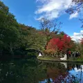 雲場池の写真_601425