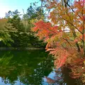 雲場池の写真_601426