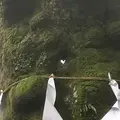 熊野皇大神社の写真_601441