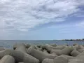 海の駅蜃気楼駐車場の写真_601675