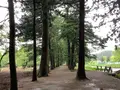 眼目山立山寺（通称さっかのてら）の写真_601714