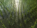 鮎の瀬交流館の写真_60231