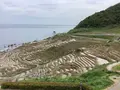 白米千枚田の写真_602904