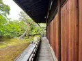 相国寺の写真_603147