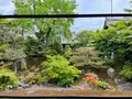 相国寺の写真_603151