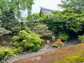 相国寺の写真_603152