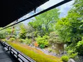 相国寺の写真_603153