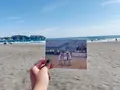 鵠沼海岸の写真_603253