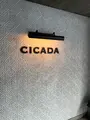 シカダ （CICADA）の写真_603541