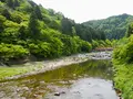 香嵐溪の写真_605117