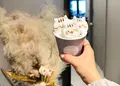 HATCOFFEE STANDの写真_605420