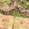 芦野公園駅の写真_605566