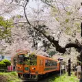 芦野公園駅の写真_605570