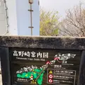 龍飛崎の写真_605573