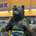狸小路商店街の写真_606228