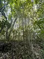 はなれの宿千の森の写真_608301