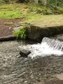 三分一湧水公園の写真_608349