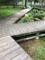 三分一湧水公園の写真_608351