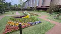 石川県立図書館の写真_608705