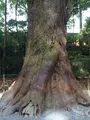 伊勢神宮の写真_608767