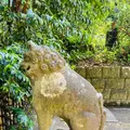 大崎八幡宮の写真_609973