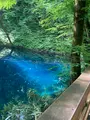 青池の写真_610062