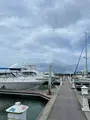 Agat Marinaの写真_612619