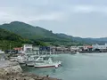 池田港の写真_613095