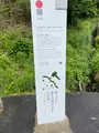 天狗岩丁場の写真_613117