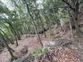 天狗岩丁場の写真_613136