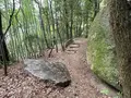 天狗岩丁場の写真_613137