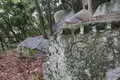 天狗岩丁場の写真_613144