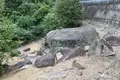 八人石丁場の写真_613164