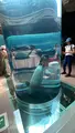 旭川市 旭山動物園の写真_616030