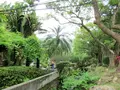 至徳園の写真_616465