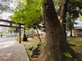 金王八幡宮公園の写真_616859