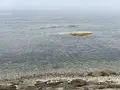 大間崎の写真_618186