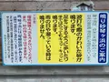 琴ケ浜海水浴場の写真_618211