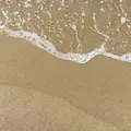 琴ケ浜海水浴場の写真_618212