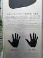 国際センター駅の写真_619080
