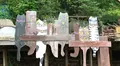 猫の細道の写真_619190