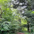 ロイヤルホテル八ヶ岳の写真_619399