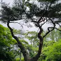 ロイヤルホテル八ヶ岳の写真_619400