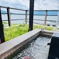 下諏訪ローイングパーク 足湯の写真_619405