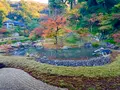円覚寺の写真_620621