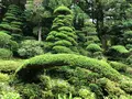 長谷寺の写真_621607