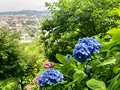 長谷寺の写真_621901