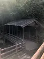 五台橋の写真_621926